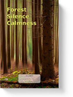 'Forest, Silence, Calmness'. A wide-lined low-content notebook/journal by Vicky Thor. Go to Amazon link.