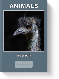 'Animals - ostrich' - a lined notebook/journal by Vlavoy. 'Go to Amazon' link. 'Go to Amazon' link.
