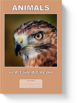 'Animals - Red-tailed Falcon' - a lined notebook/journal by Vlavoy. 'Go to Amazon' link.