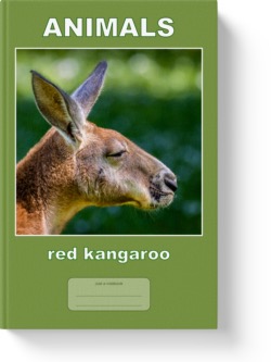 'Animals - red kangaroo' - a lined notebook/journal by Vlavoy. 'Go to Amazon' link.