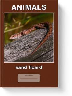 'Animals - sand lizard' - a lined notebook/journal by Vlavoy. 'Go to Amazon' link.