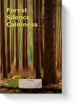 'Forest, Silence, Calmness'. A wide-lined low-content notebook/journal by Vlavoy. 'Go to Amazon' link.