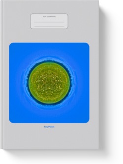 'Tiny Planet - Grass and Dandelions'. Lined notebook by Vlavoy. 'Go to Amazon' link.