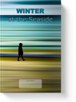 'Winter at the Seaside' - a lined notebook/journal by Vlavoy. 'Go to Amazon' link.