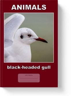 'Animals - Black-headed Gull' – a lined notebook/journal by Vlavoy. 'Go to Amazon' link.