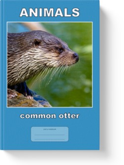 'Animals - Common Otter' - a low-content notebook/composition journal by Vlavoy. 'Go to Amazon" link.