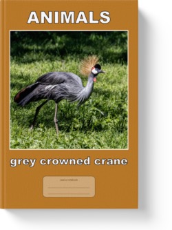 'Animals - Grey Crowned Crane' - a low-content notebook/composition journal by Vlavoy. 'Go to Amazon' link.