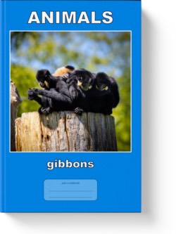 'Animals - gibbons' - a low-content notebook/composition journal by Vlavoy. 'Go to Amazon' link.