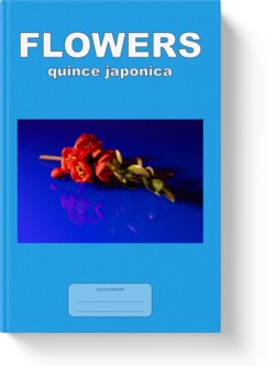 'Flowers - Quince Japonica' - a low-content notebook/composition journal by Vlavoy. 'Go to Amazon' link.