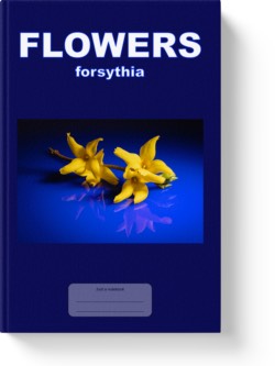 'Flowers - forsythia' - a low-content notebook/composition journal by Vlavoy. 'Go to Amazon' link.