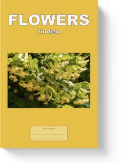 'Flowers - linden' - a low-content notebook/composition journal by Vlavoy. 'Go to Amazon' link.