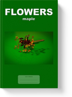 'Flowers - maple' a low-content notebook/composition journal by Vlavoy. 'Go to Amazon' link.