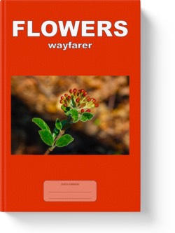 'Flowers - wayfarer' - a low-content notebook/composition journal by Vlavoy. 'Go to Amazon' link.