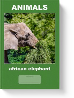 'Animals - african elephant' - a lined notebook, journal, composition notebook by Vlavoy. 'Go to Amazon' link.