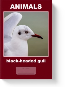 'Anımals - Black-headed Gull' - a lined notebook or journal by Vlavoy. 'Go to Amazon' Iink.