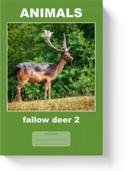 'Animals - fallow deer 2' - a lined notebook, journal, composition notebook by Vlavoy. 'Go to Amazon' link.