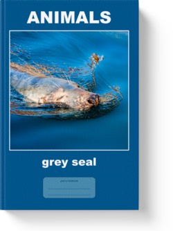 'Animals - grey seal' - wide-lined notebook, journal by Vlavoy. 'Go to Amazon' link.