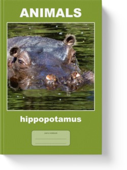 'Animals - indian rhinoceros' - a wide-lined notebook, journal by Vlavoy. 'Go to Amazon' link.