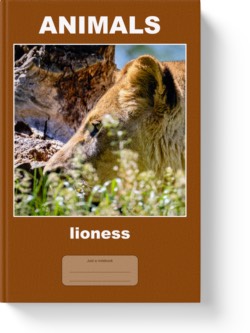 'Animals - lioness' - a wide-lined notebook, journal or composition notebook by Vlavoy. 'Go to Amazon' link.