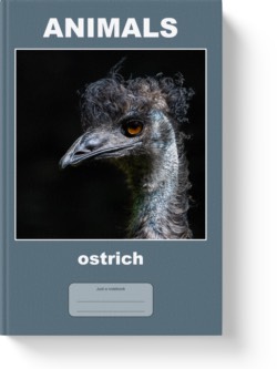 'Animals - ostrich' - a lined notebook, journal by Vlavoy. 'Go to Amazon' link.