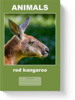 'Animals - red kangaroo' - a wide-lined notebook, journal by Vlavoy. 'Go to Amazon' link.
