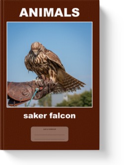 'Animals - saker falcon' - a lined notebook. journal, composition notebook by Vlavoy. 'Go to Amazon' link.