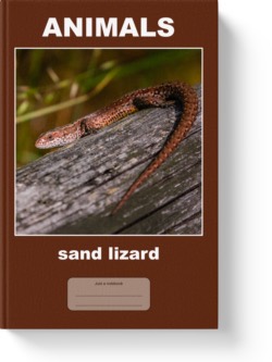 'AnImals - sand lizard' - a wide-lined notebook, journal by Vlavoy. 'Go to Amazon' link.