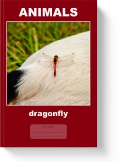 'Animals - dragonfly' - wide-lined notebook, journal by Vlavoy. 'Go to Amazon' link.