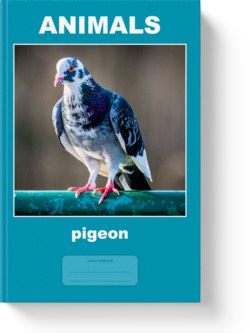 'Animals - pigeon' - wide-lined notebook by Vlavoy. 'Go to Amazon' link.