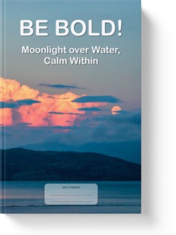 'Be Bold! Moonlight over Water, Calm Within'. A wide-lined notebook, journal by Vlavoy. 'Go to Amazon' link.