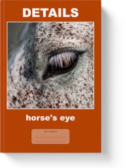 'Details - horse's eye' - a lined notebook, journal, composition notebook by Vlavoy. 'Go to Amazon' link.