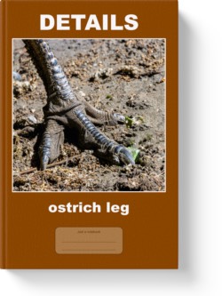 'Details - ostrich leg' - a lined notebook, journal by Vlavoy. 'Go to Amazon' link.