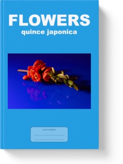 'Flowers - Quince Japonica' - a notebook or composition journal by Vlavoy. 'Go to Amazon' link.