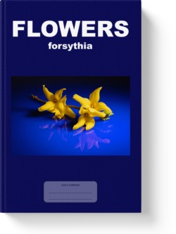 'Flowers - forsythia' - a notebook or composition journal by Vlavoy. 'Go to Amazon' link.