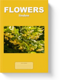 'Flowers - linden' - a notebook or composition journal by Vlavoy. 'Go to Amazon' link.