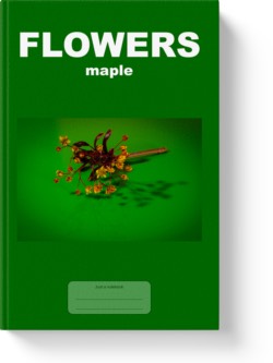 'Flowers - maple' - a notebook or composition journal by Vlavoy. 'Go to Amazon' link.