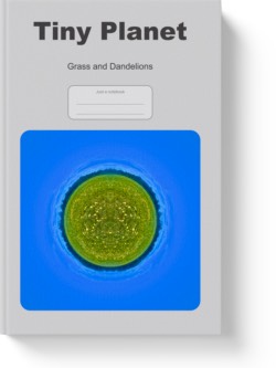 'Tiny Planet - Grass and Dandelions' - a lined notebook, journal by Vlavoy. 'Go to Amazon' link.