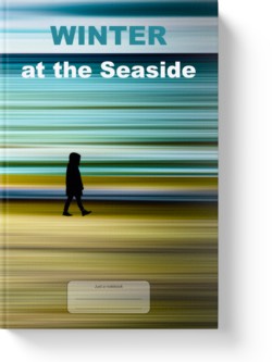 'Winter at the Seaside' - a lined notebook, journal by Vlavoy. 'Go to Amazon' link.