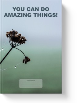 'You Can Do Amazing Things' - wide-lined notebook, journal by Vlavoy. 'Go to Amazon' link.
